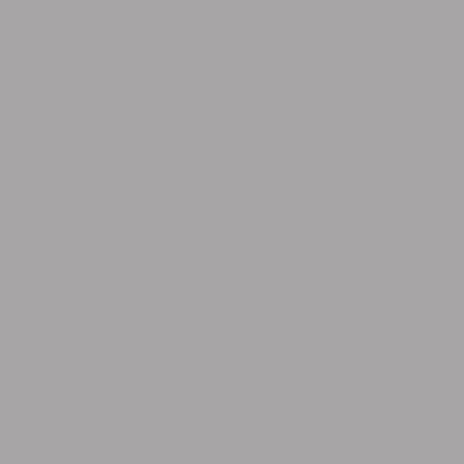 Rust-Oleum Specialty Flat Silver High Heat Spray Paint 12 oz