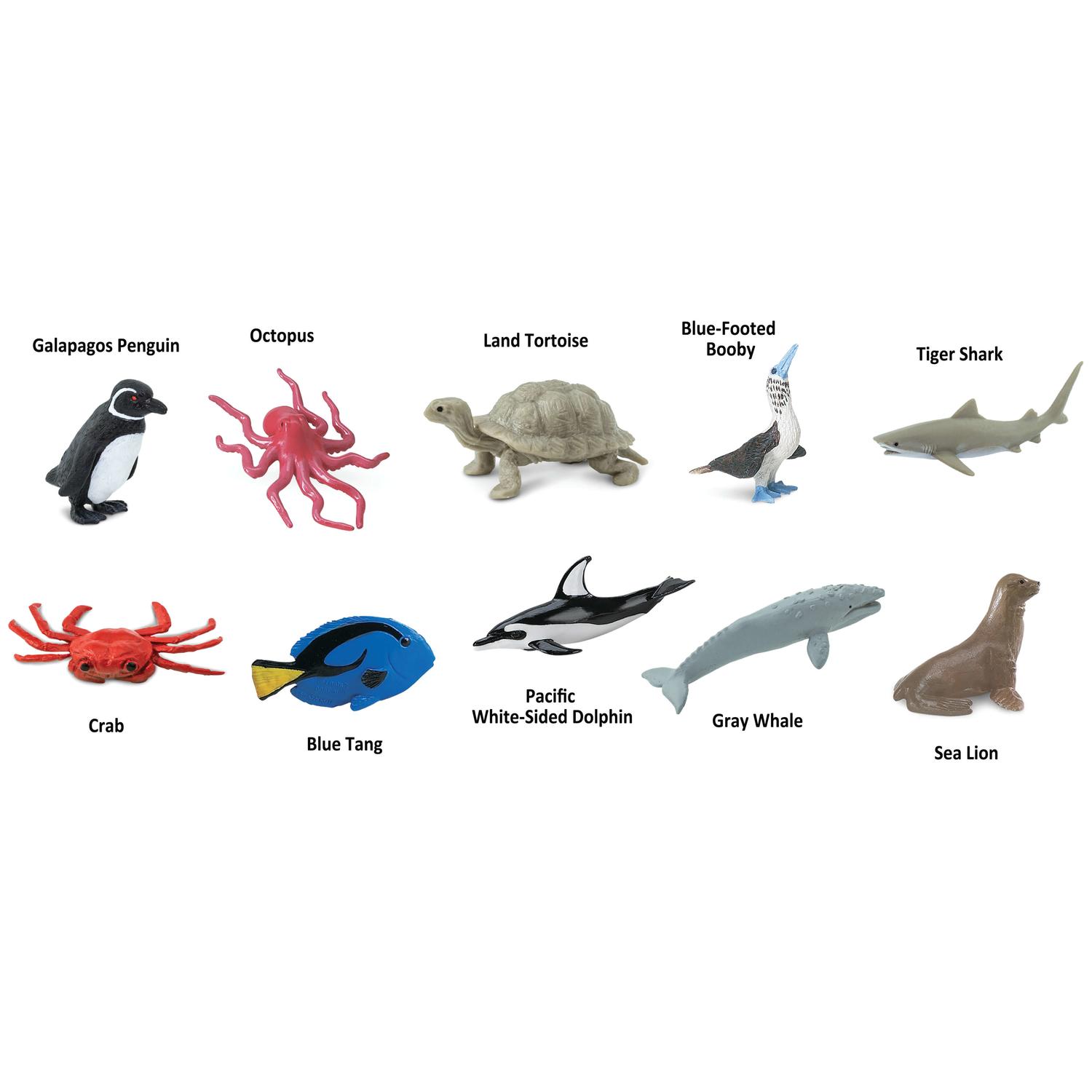 Safari Ltd. Toobs Pacific Toy Assorted 10 pc