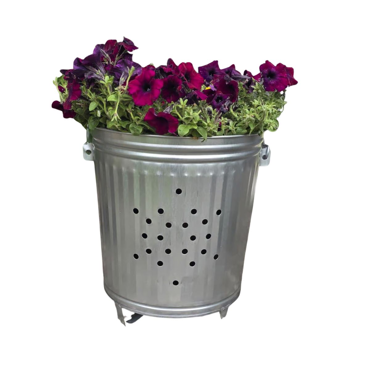 Behrens 7.5 gal Silver Galvanized Steel Trash Burner Can Lid Included Animal Proof/Animal Resistant