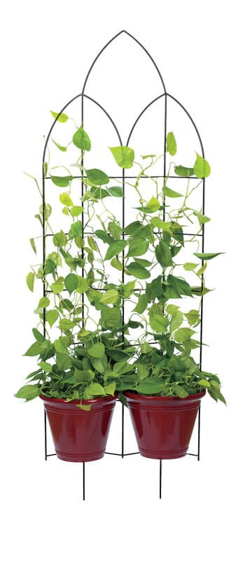Panacea 72 in. H Black Steel Trellis