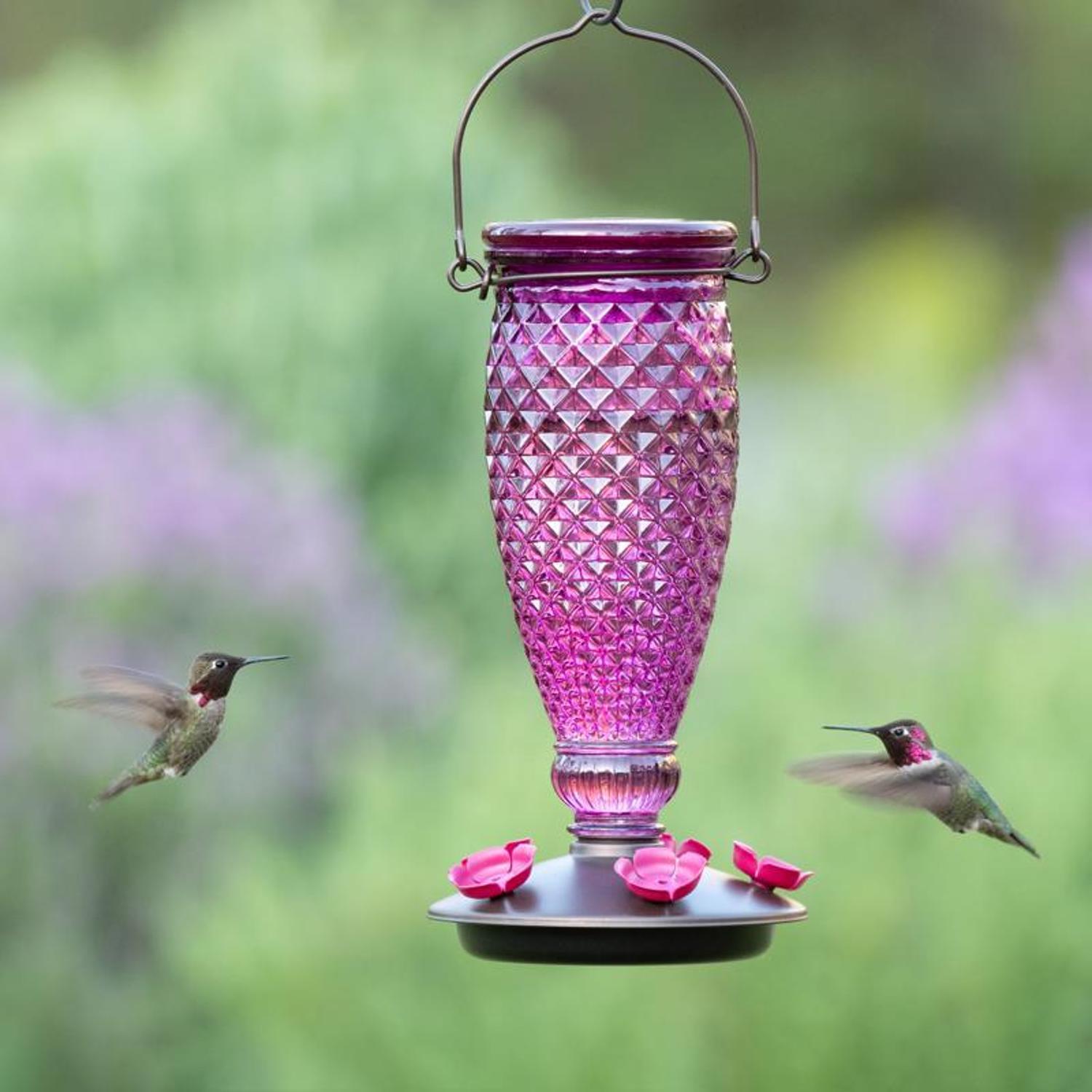 Perky-Pet Hummingbird 24 oz Glass/Plastic Diamond Wine Nectar Bird Feeder 5 ports