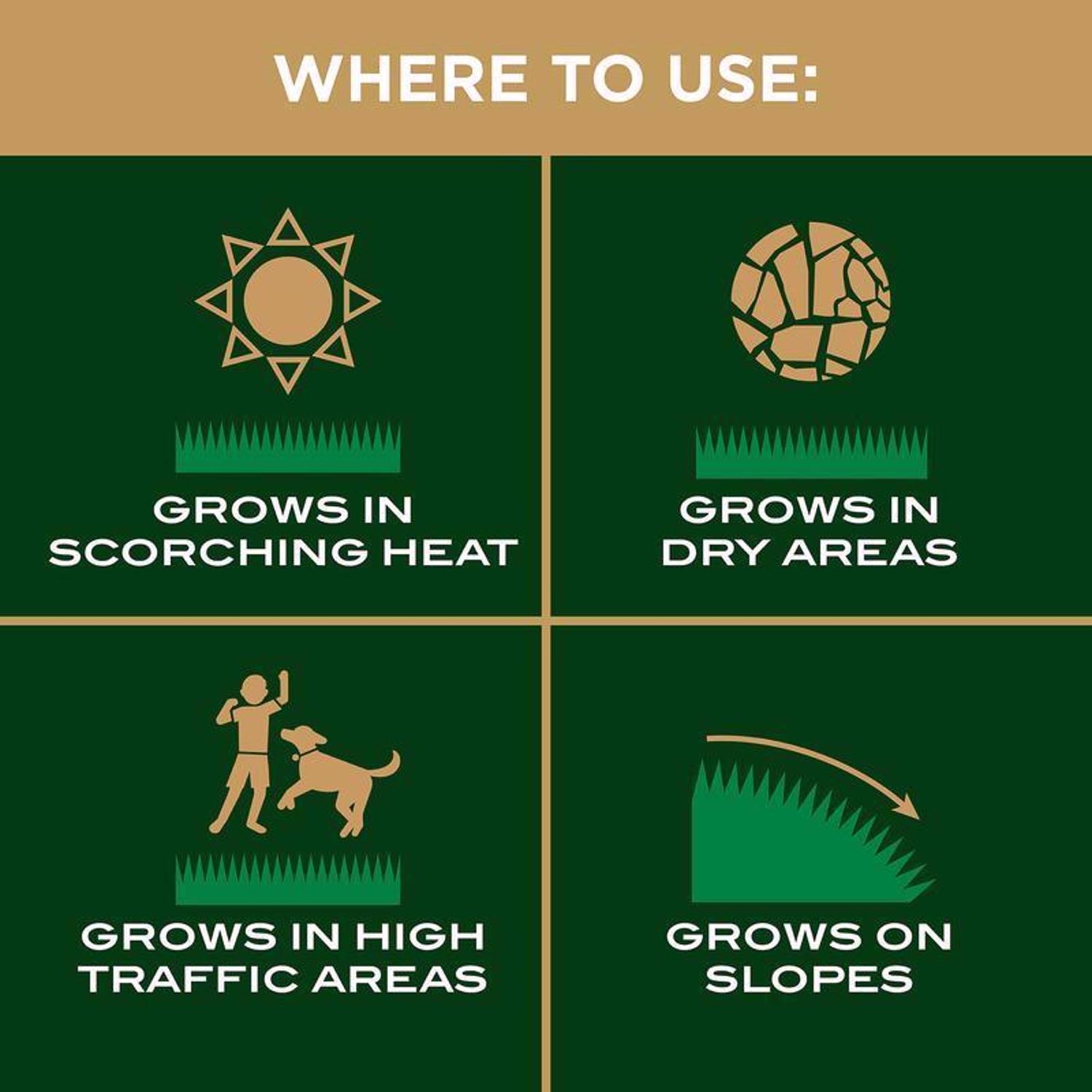 Scotts EZ Seed Bermuda Grass Sun or Shade Grass Spot Repair Seed 10 lb