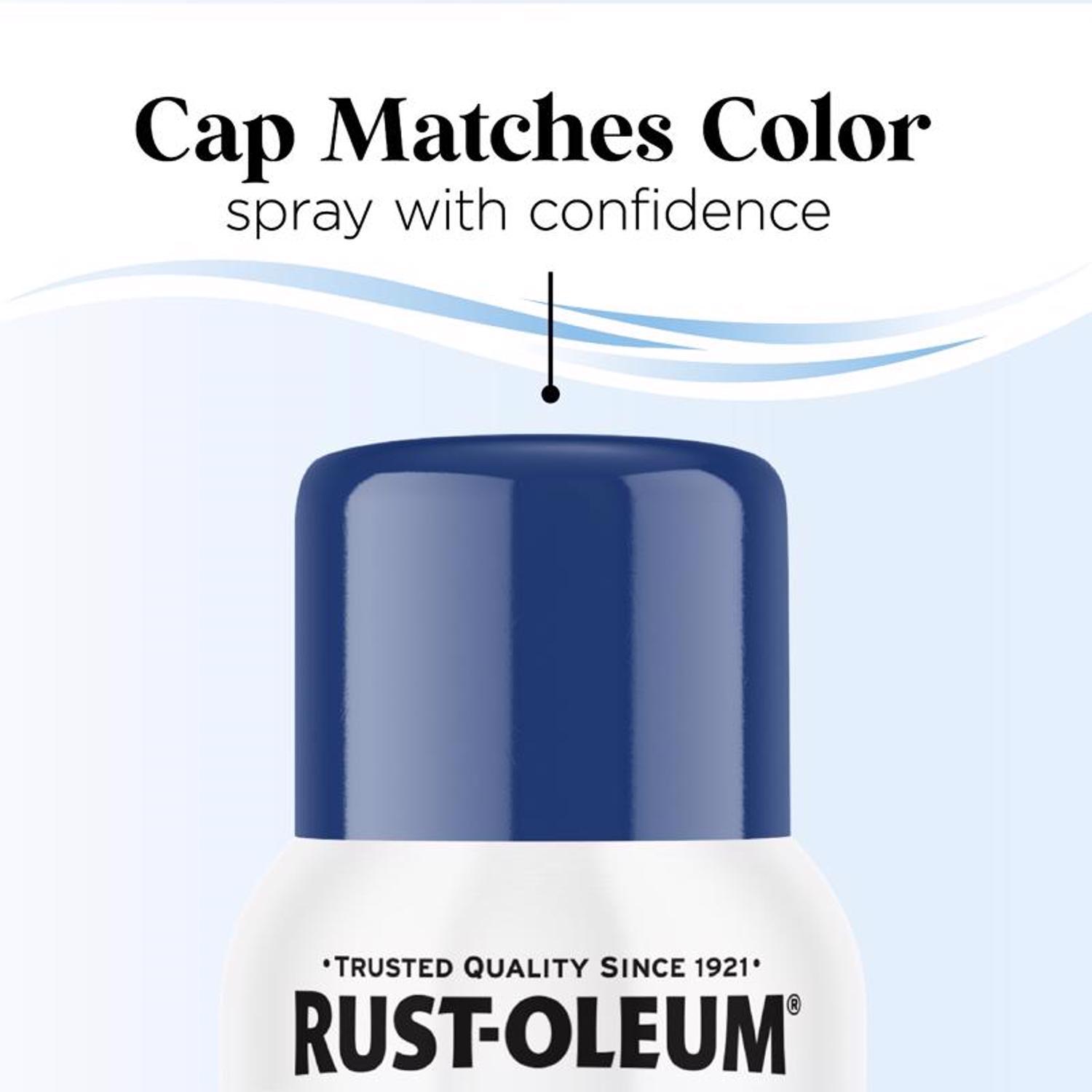 Rust-Oleum Low Odor Gloss Blueberry Spray Paint 11 oz.