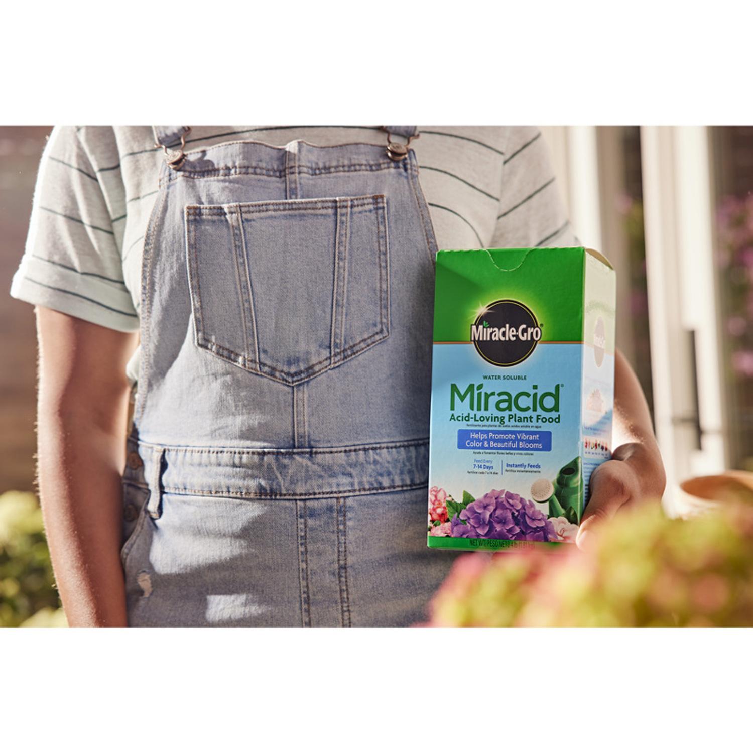 Miracle-Gro Miracid Powder Hibiscus Plant Food 4 lb