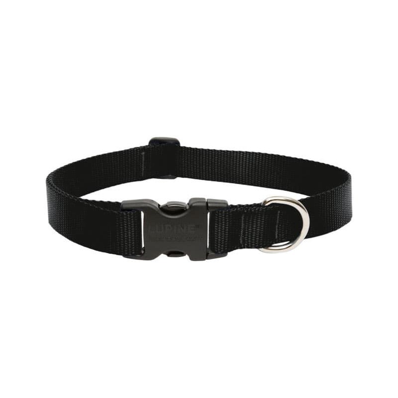 LupinePet Basic Solids Black Black Nylon Dog Adjustable Collar