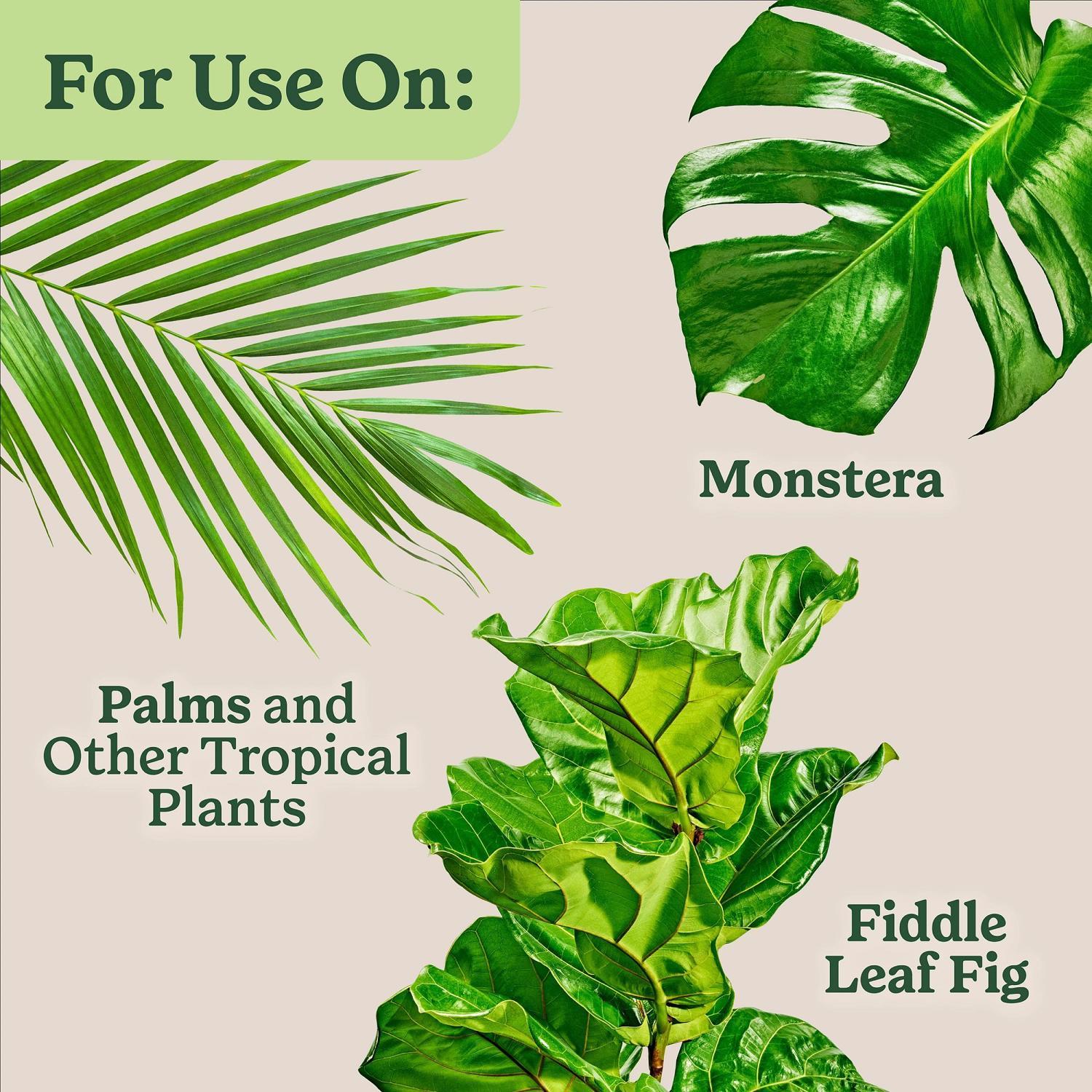 Miracle-Gro Tropical Liquid Plant Food 8 oz