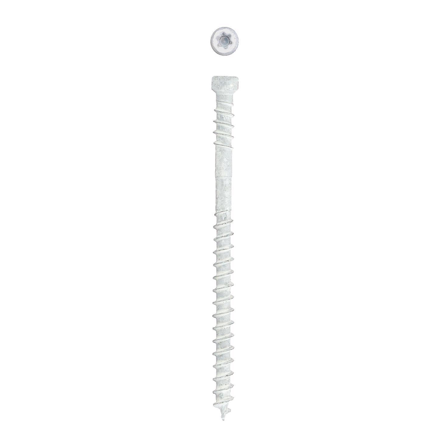 SPAX PowerTrim No. 8 Label X 2-1/2 in. L Star Trim Head Serrated Trim Screws