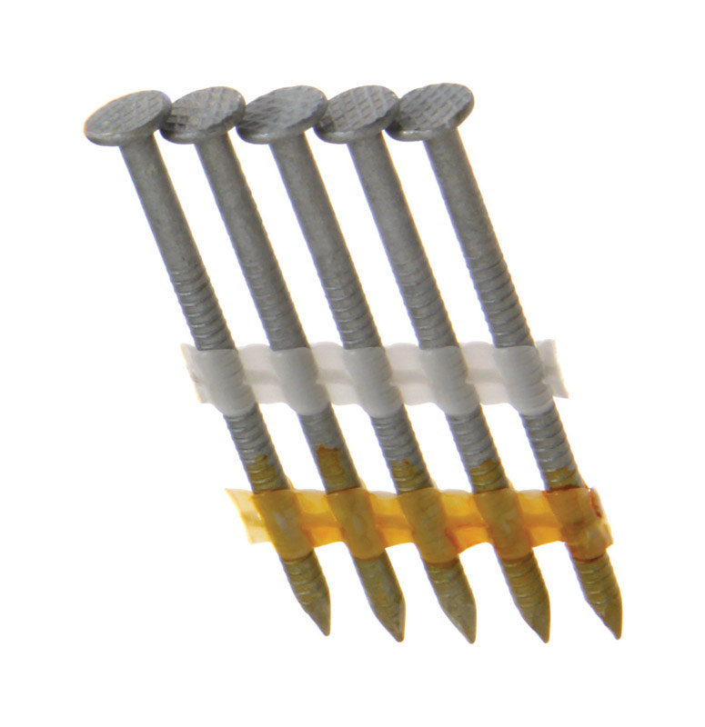Grip-Rite 2-3/8 in. x .113 in. L Hot Dipped Galvanized Framing Framing Nails 1 000 pc.