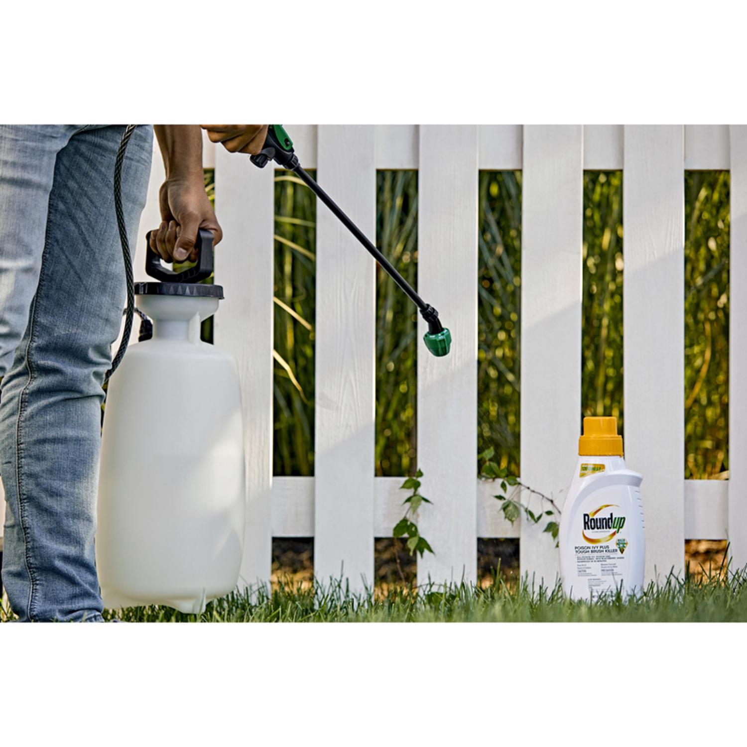 Roundup Poison Ivy Killer Concentrate 32 oz | Stine Home + Yard : The ...