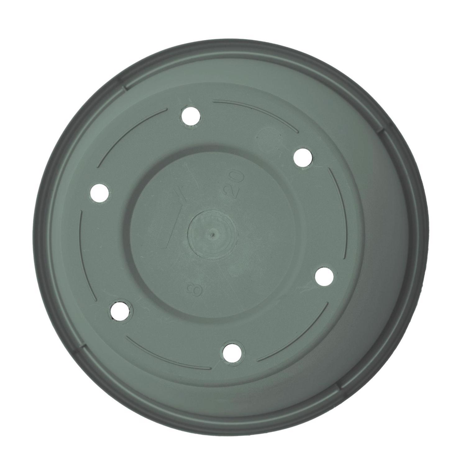 Bloem Terra 8.5 in. H X 10.75 in. W X 7.5 in. D Plastic Traditional Planter Basil