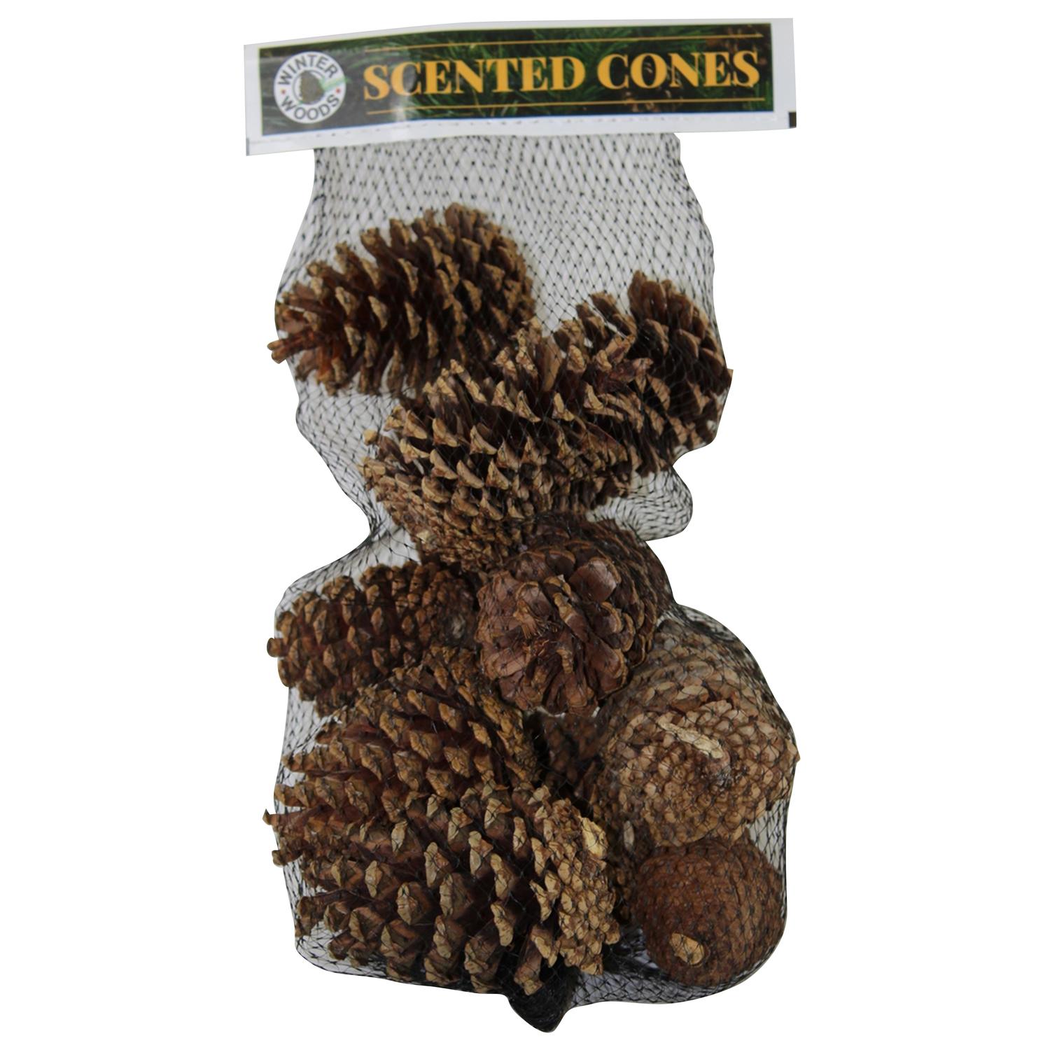 Winter Woods Cinnamon Scented Cones 14 pk