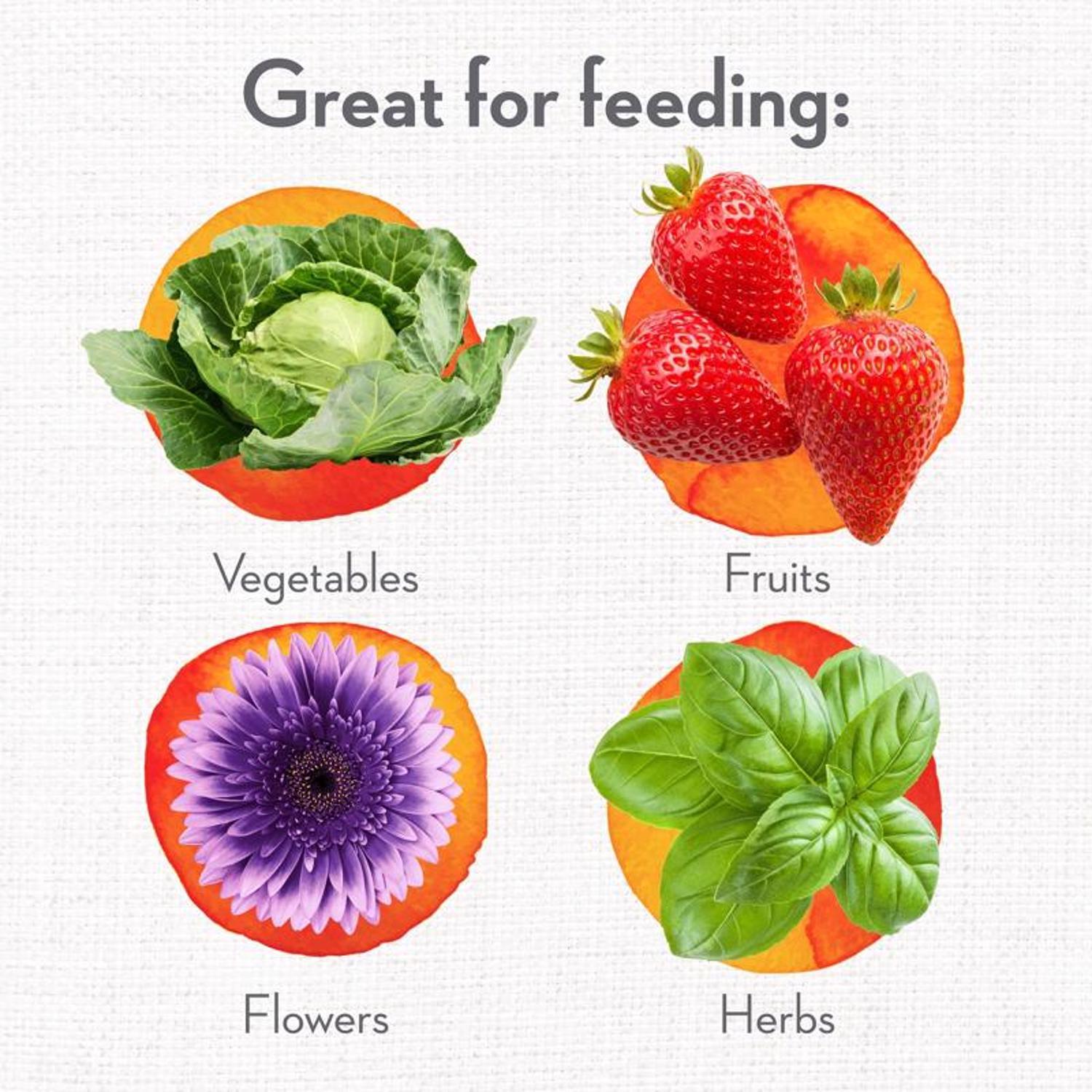 Whitney Farms Organic Granules All Purpose Plant Food 4 lb.