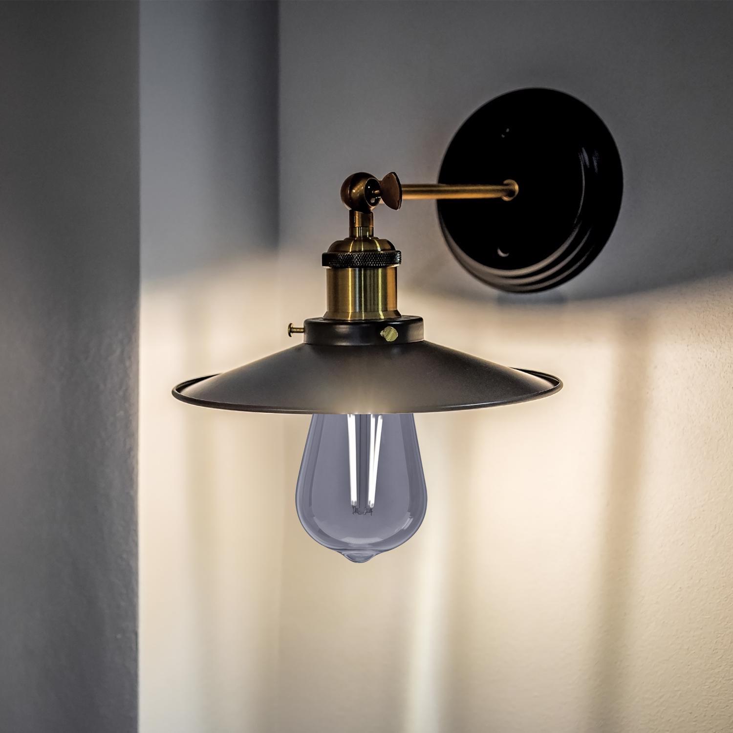 Feit ST19 E26 (Medium) LED Bulb Smoke Daylight 25 Watt Equivalence 1 pk