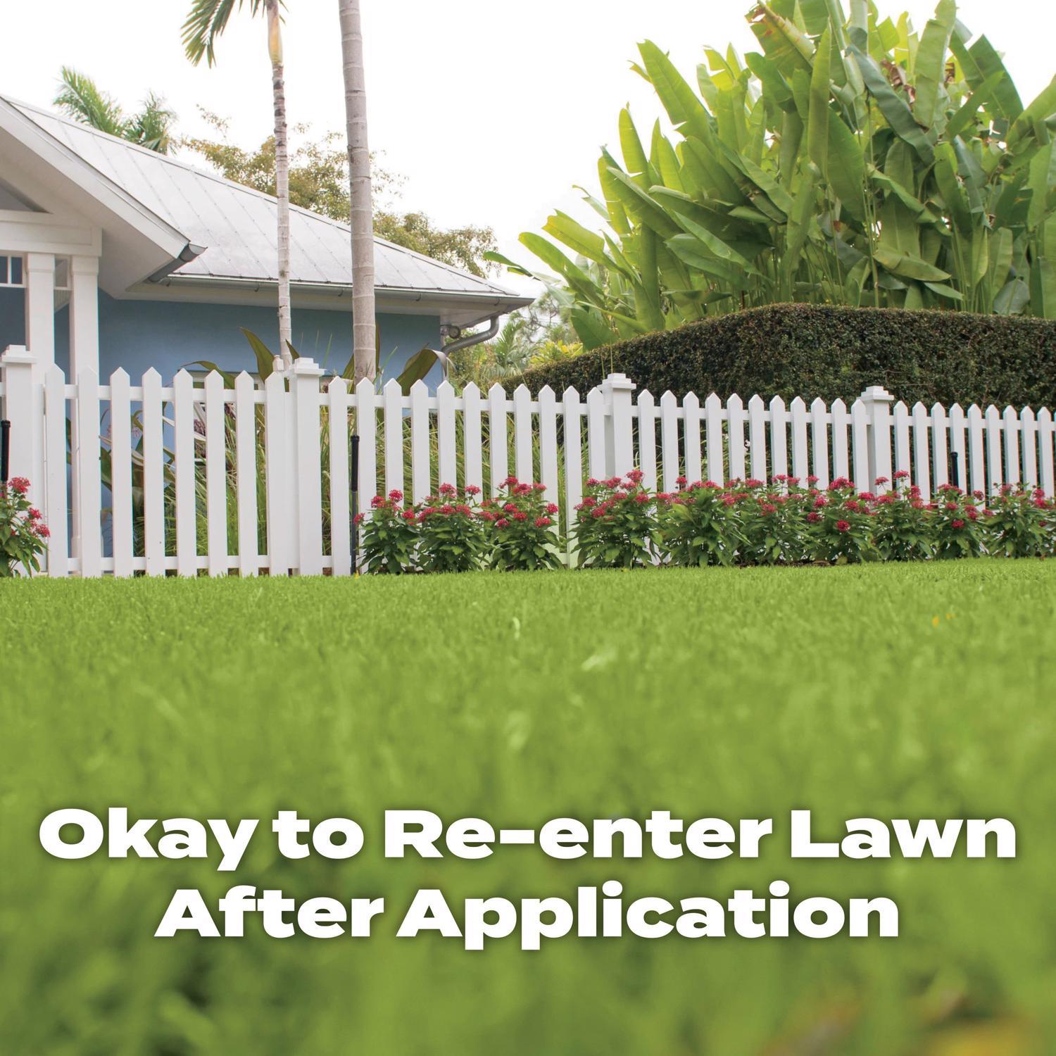 Scotts Turf Builder All-Purpose Southern Lawn Food For All Grasses 5000 sq ft