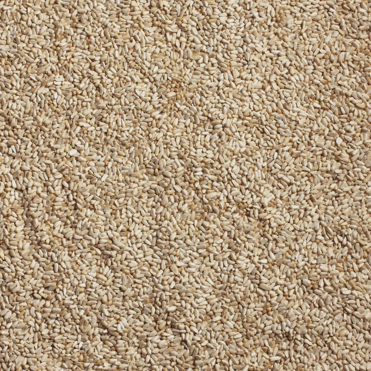 Ace Wild Bird Food 10 lb.