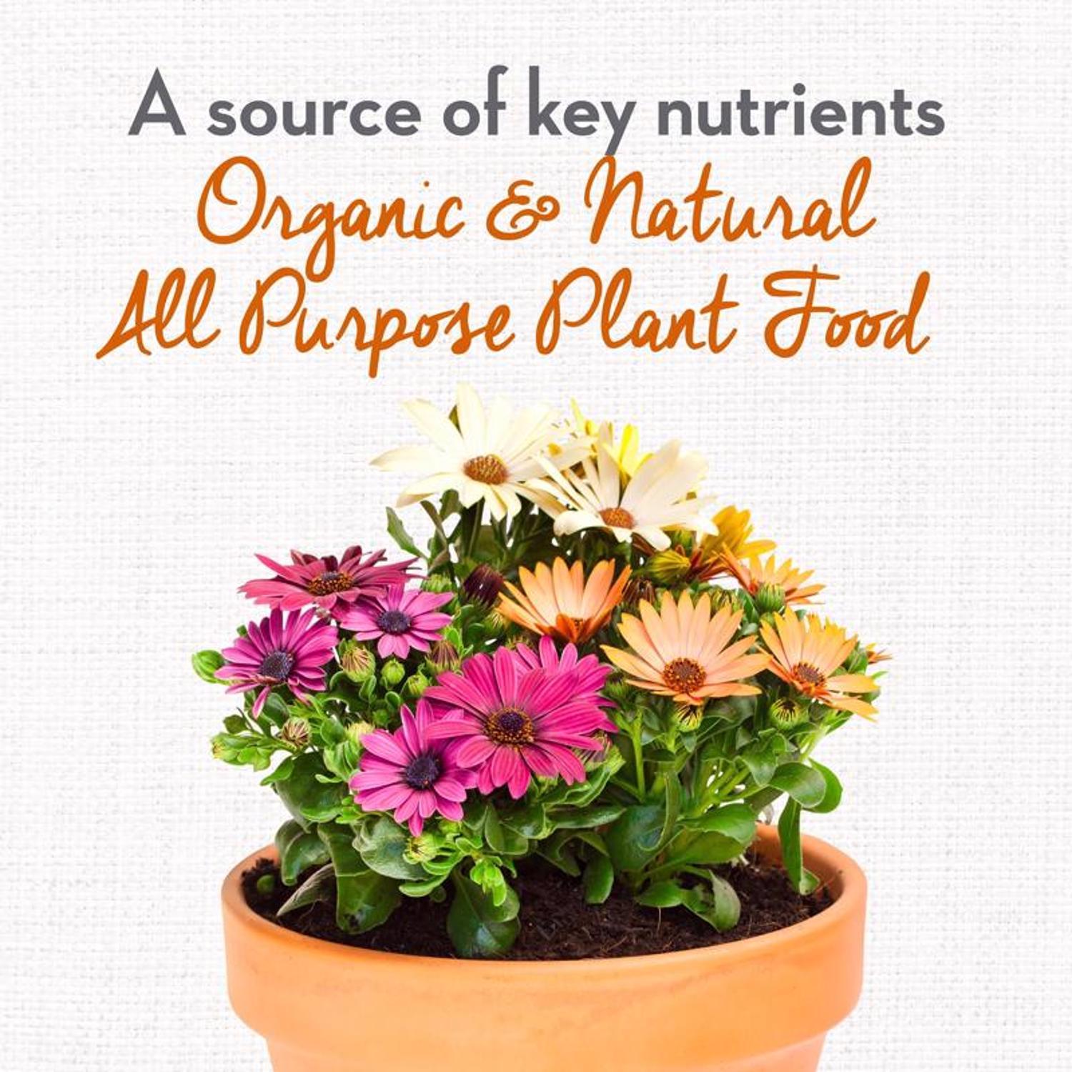 Whitney Farms Organic Granules All Purpose Plant Food 4 lb.