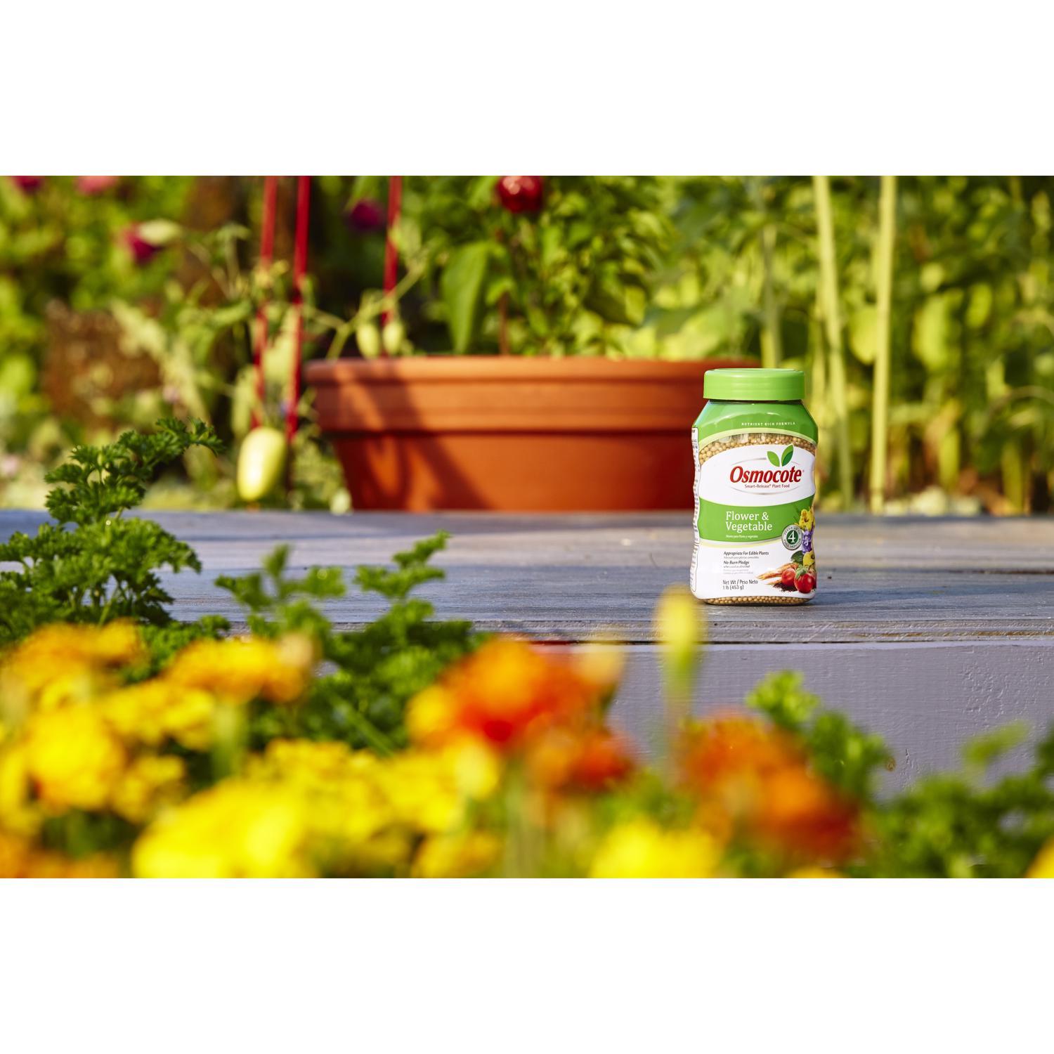 Osmocote Smart-Release Flower & Vegetable Granules Plant Food 1 lb
