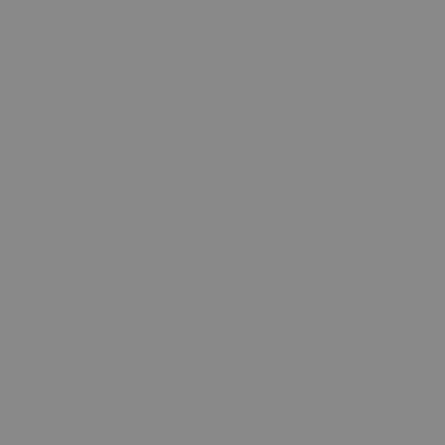 Rust-Oleum Professional Gloss Light Machine Gray Spray Paint 15 oz