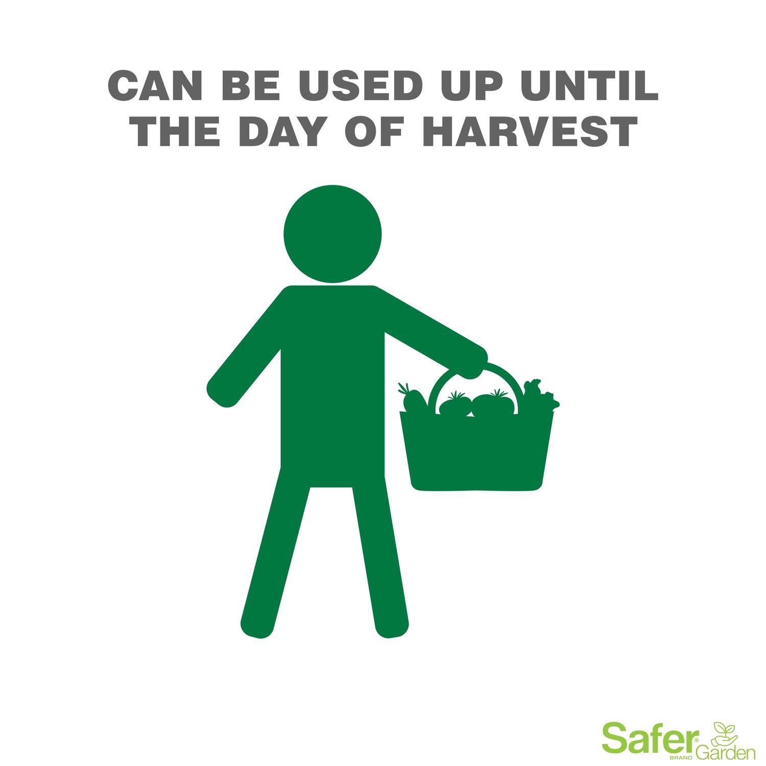 Safer Brand Organic Liquid Disease/Insect Control 24 oz