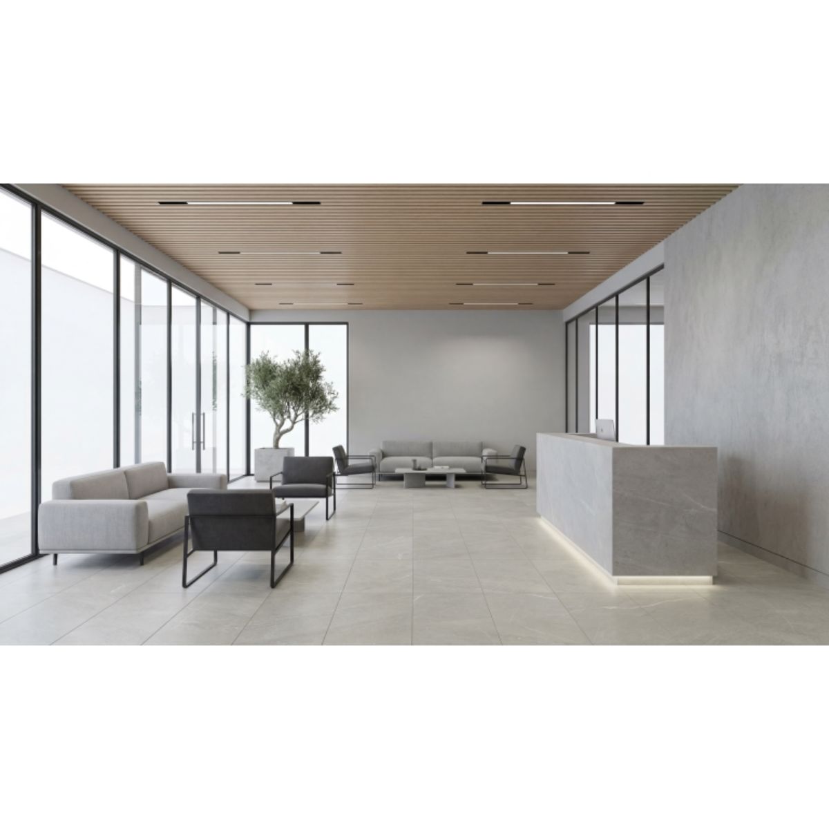 Emser Tile Caru Rengo Matte 12x24