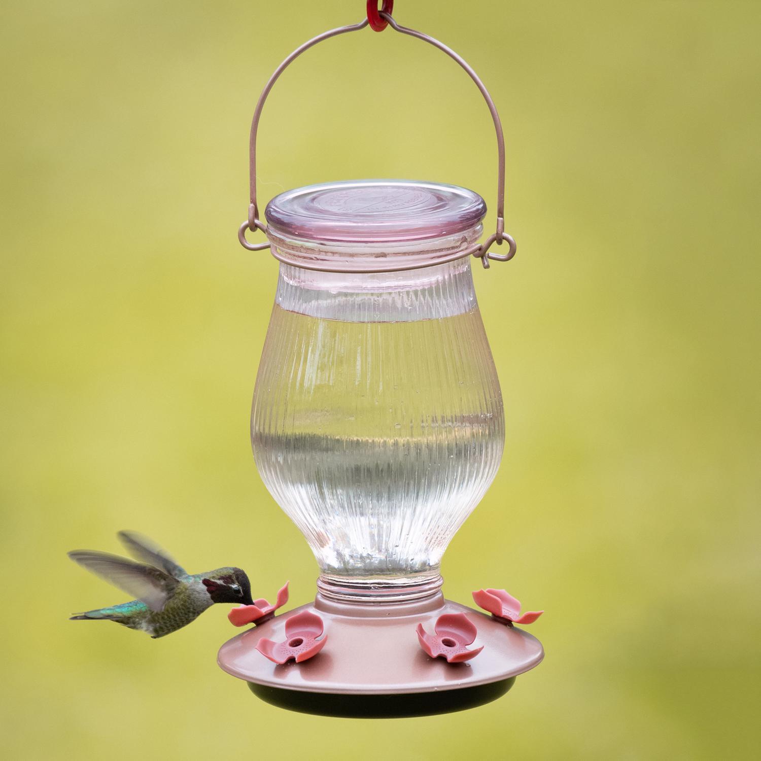 Perky-Pet Hummingbird 24 oz Glass Top-Fill Nectar Bird Feeder 5 ports