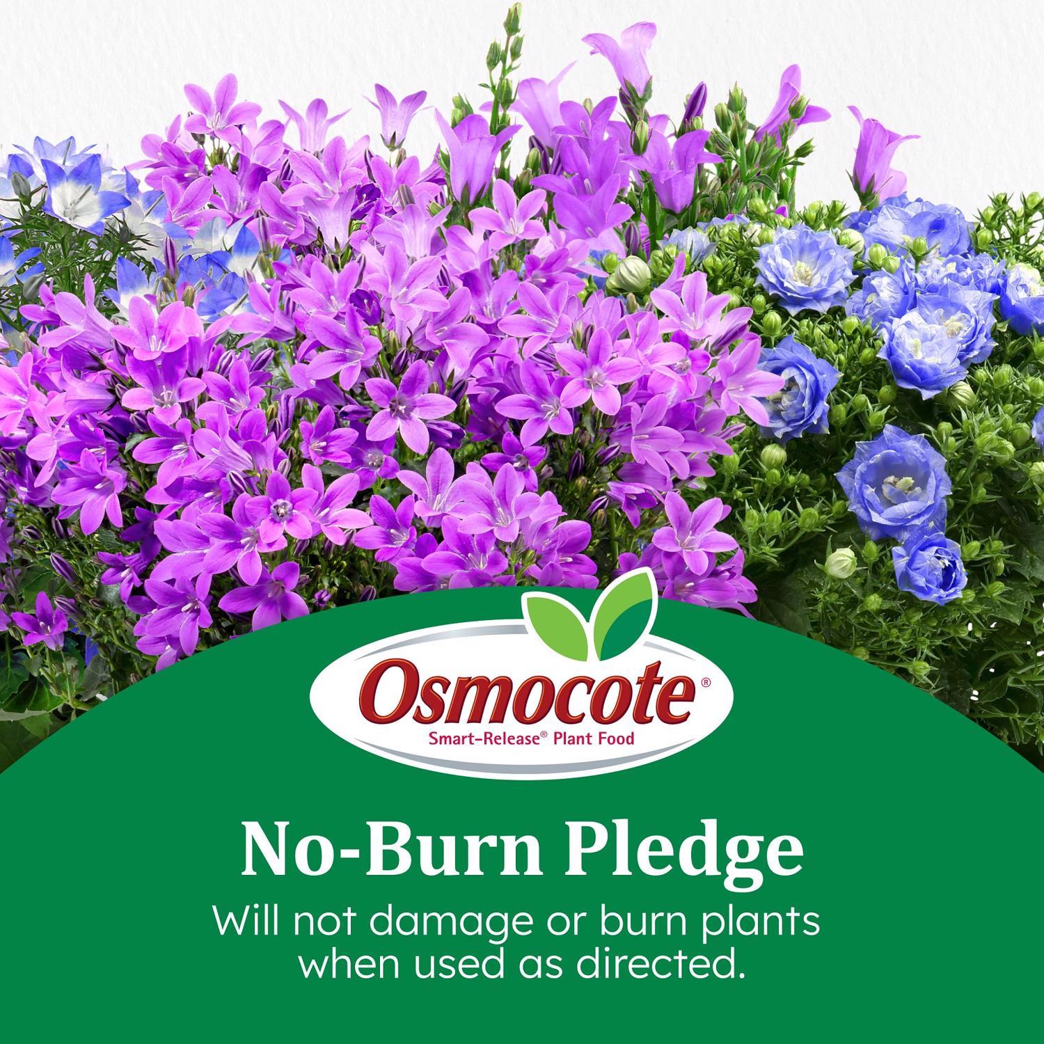 Osmocote Smart-Release Flower & Vegetable Granules Plant Food 2 lb