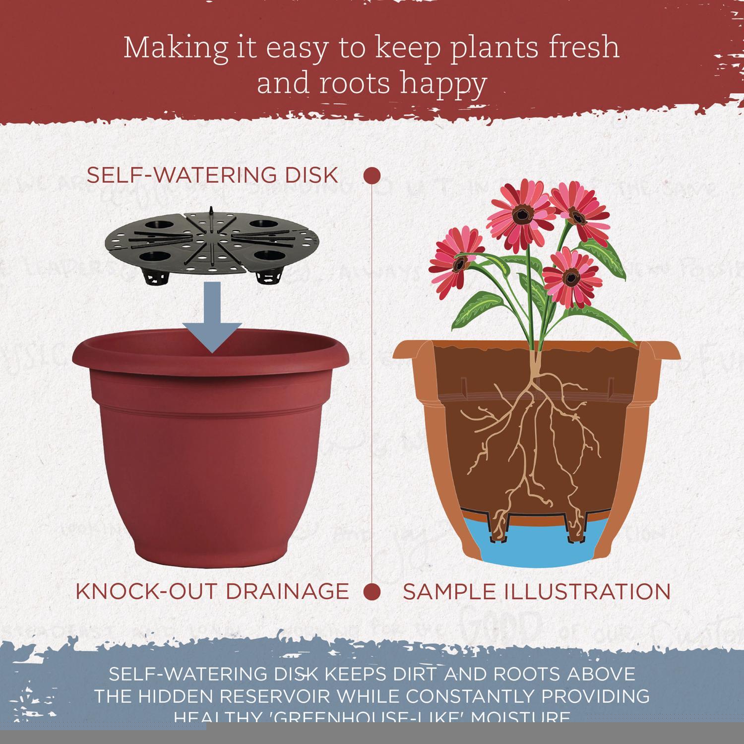 Bloem Ariana 7 in. H X 8.75 in. W X 8 in. D Plastic Traditional Planter Burnt Red