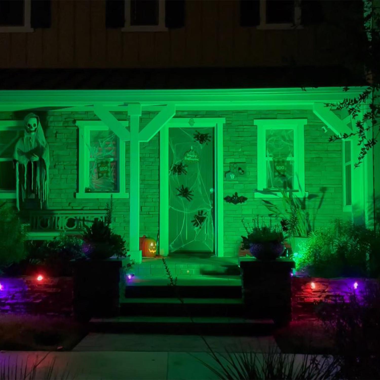 Feit A19 E26 (Medium) Filament LED Bulb Green 30 Watt Equivalence 1 pk