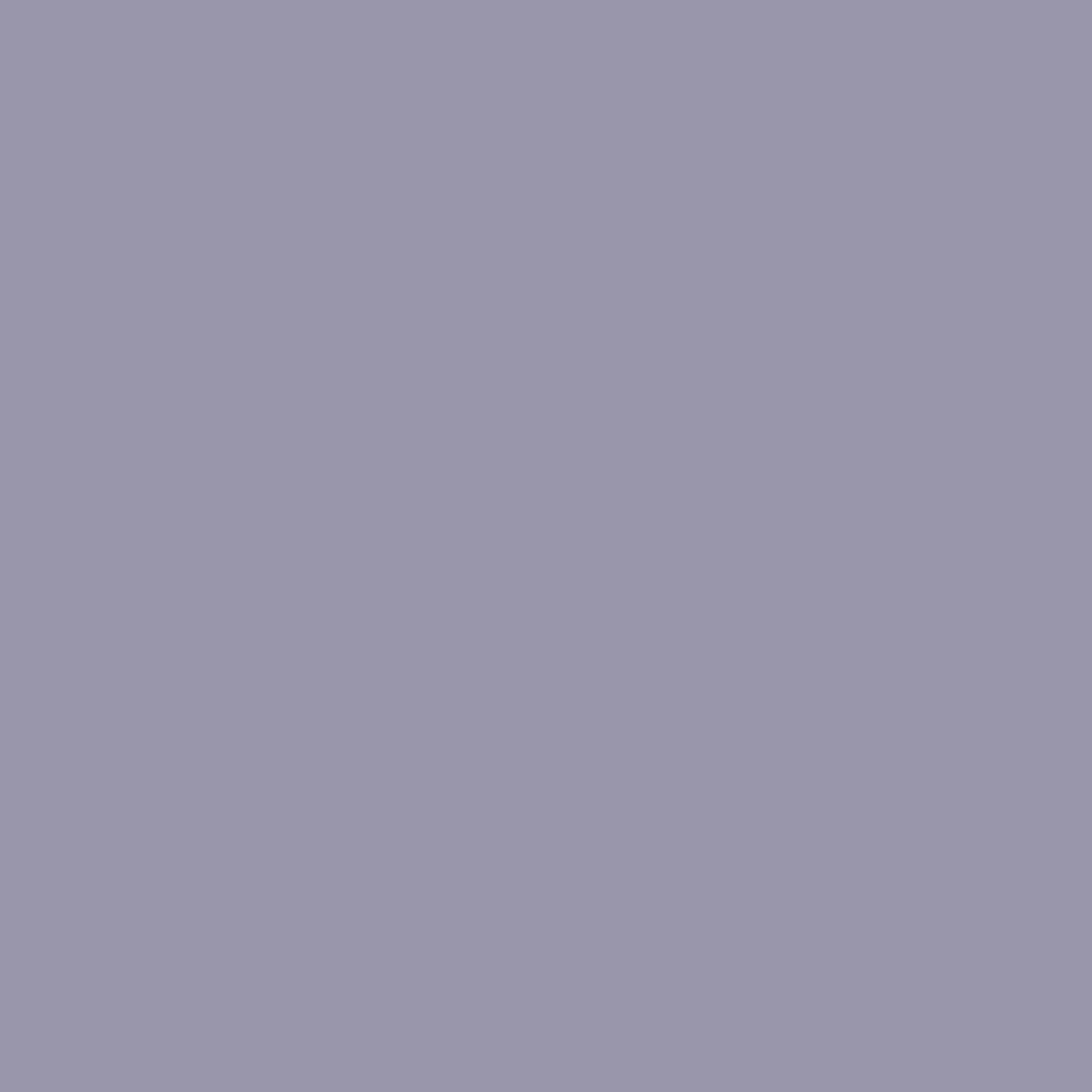 Rust-Oleum Stops Rust Flat Light Gray Primer Spray 12 oz