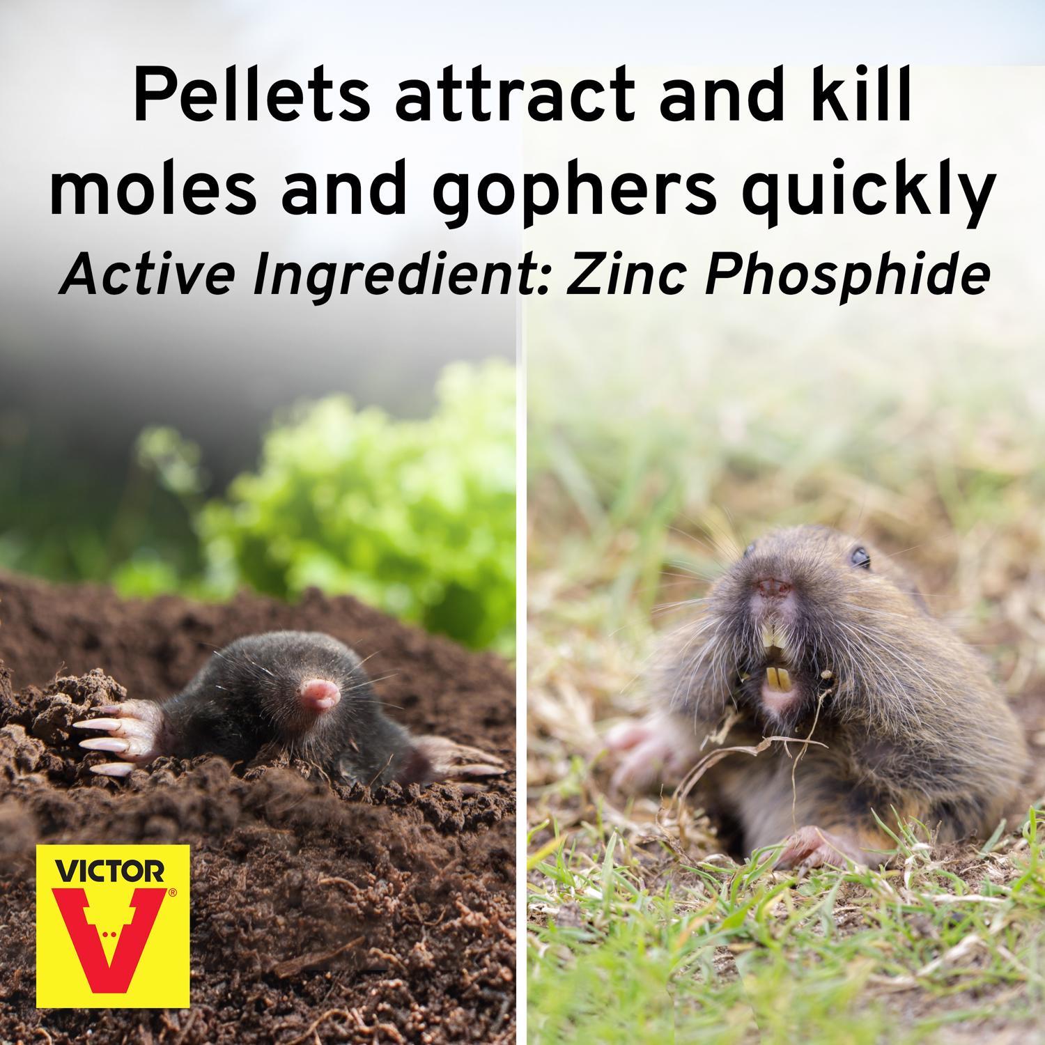 Victor Toxic Peanut-Flavored Poison Peanuts Pellets For Gophers and Moles 6 oz