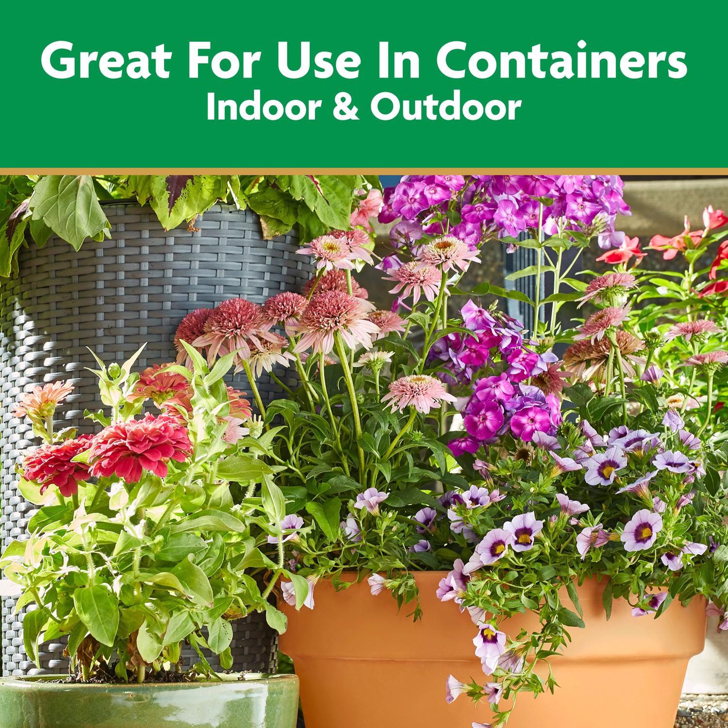 Miracle-Gro Pour & Feed Liquid Plant Food 32 oz