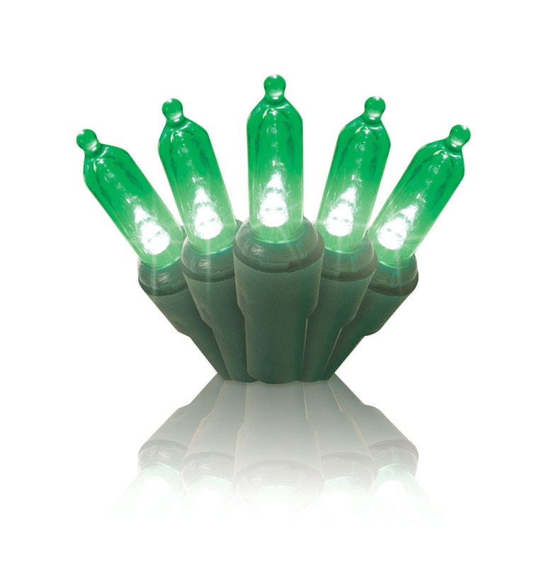 Celebrations Traditional LED Mini Mini Light Set Green 12.25 ft. 50 lights