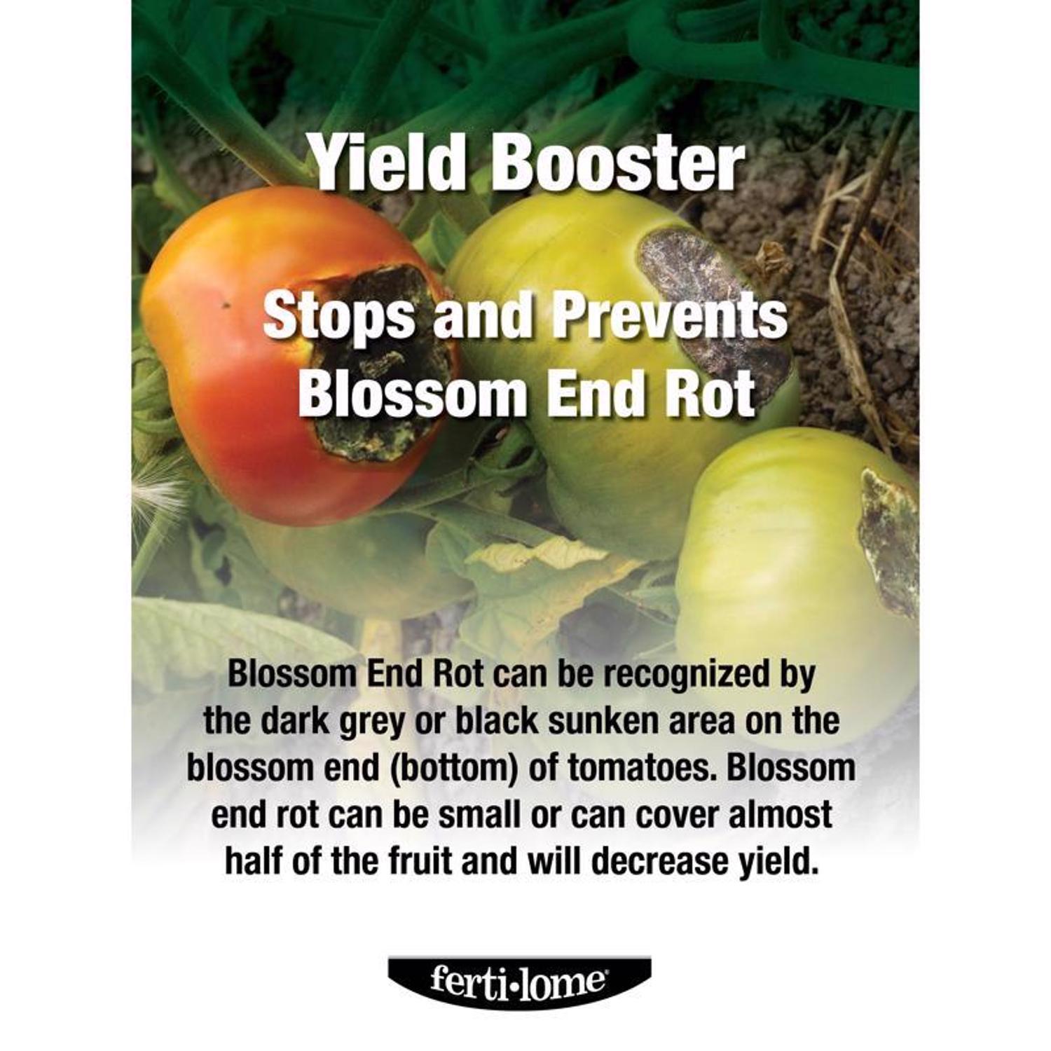 Ferti-lome Yield Booster Liquid Tomato Plant Food 16 oz
