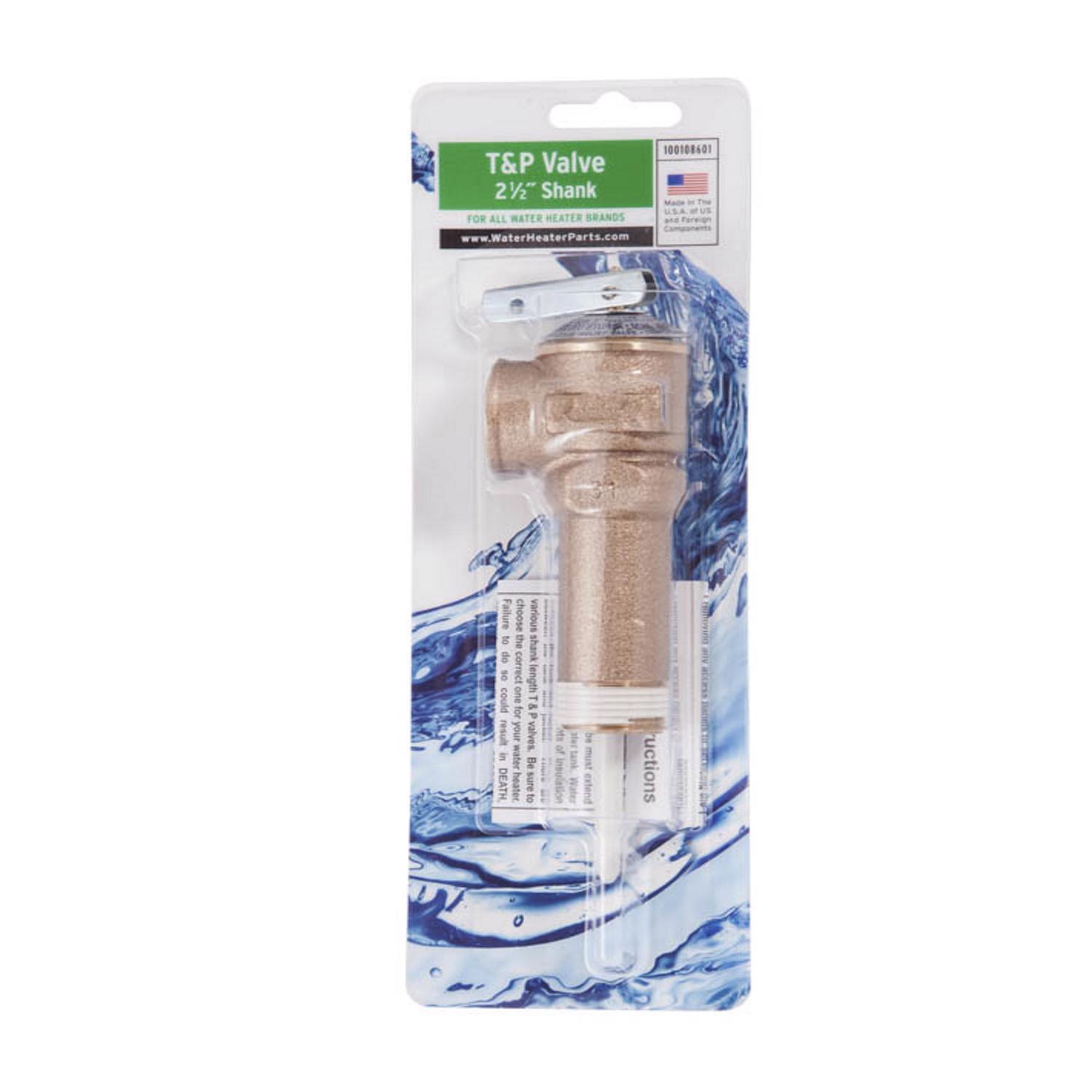 Reliance 2-1/2 in. MNPT Brass Relief Valve 1 pc