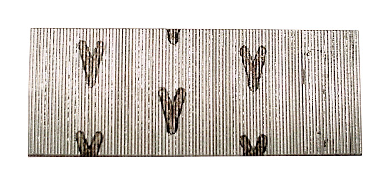 Senco 1 in. L 23 Ga. Galvanized Straight Strip Pins 2 600 pk