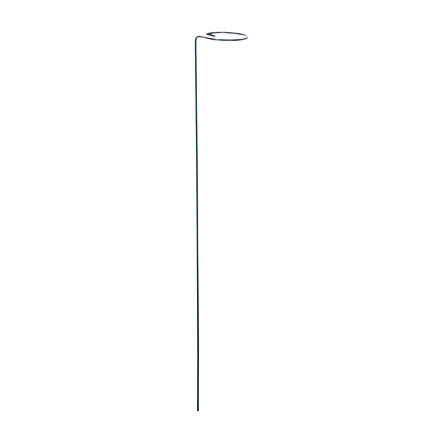 Panacea 24 in. H X 2 inch ft. W Green Steel Plant Support
