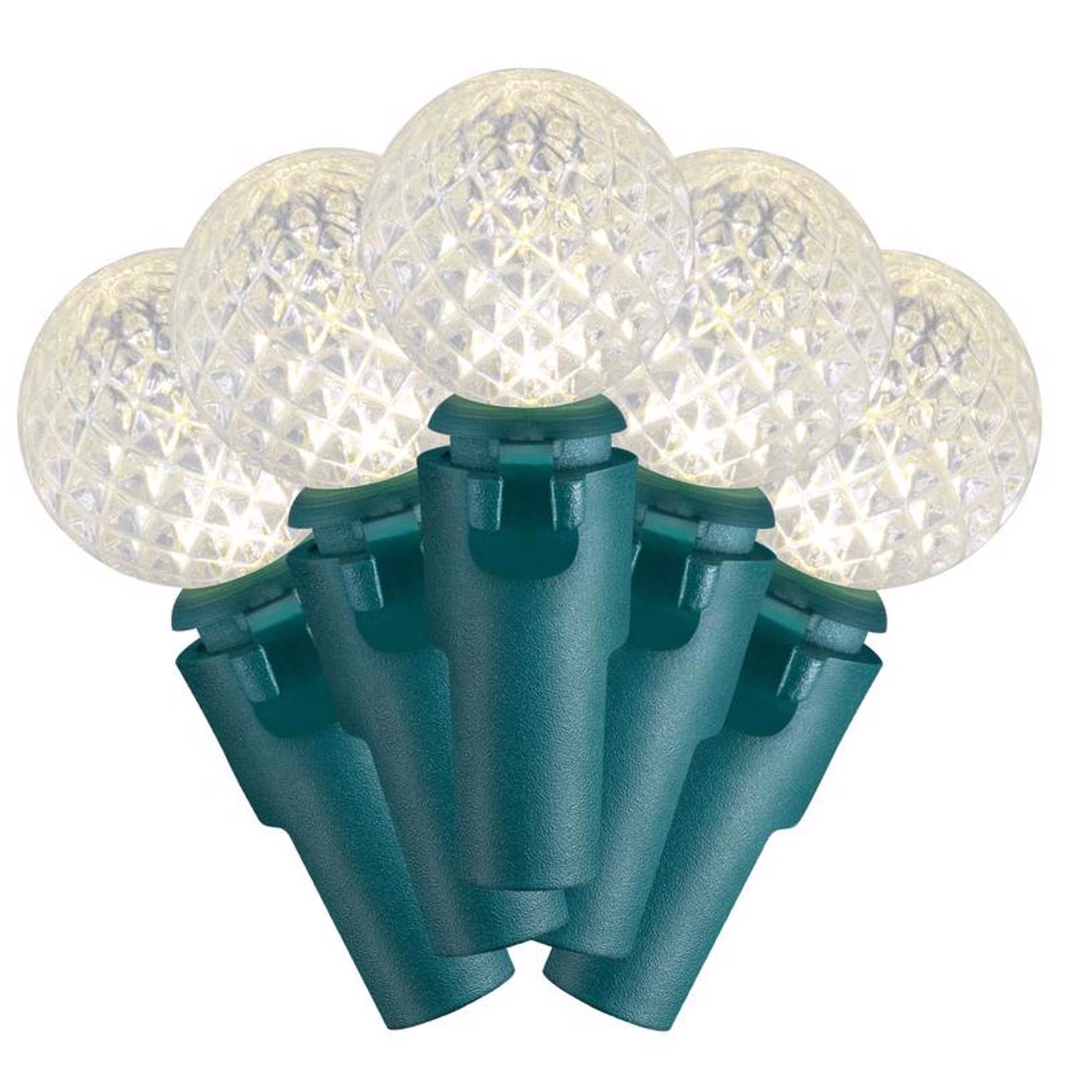 Celebrations Blue LED G14 Globe Warm White 50 ct String Christmas Lights 16 ft.