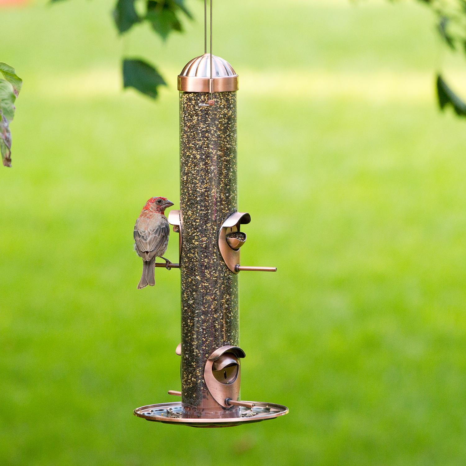 Perky-Pet Wild Bird and Finch 1.8 lb Copper Bird Feeder 4 ports