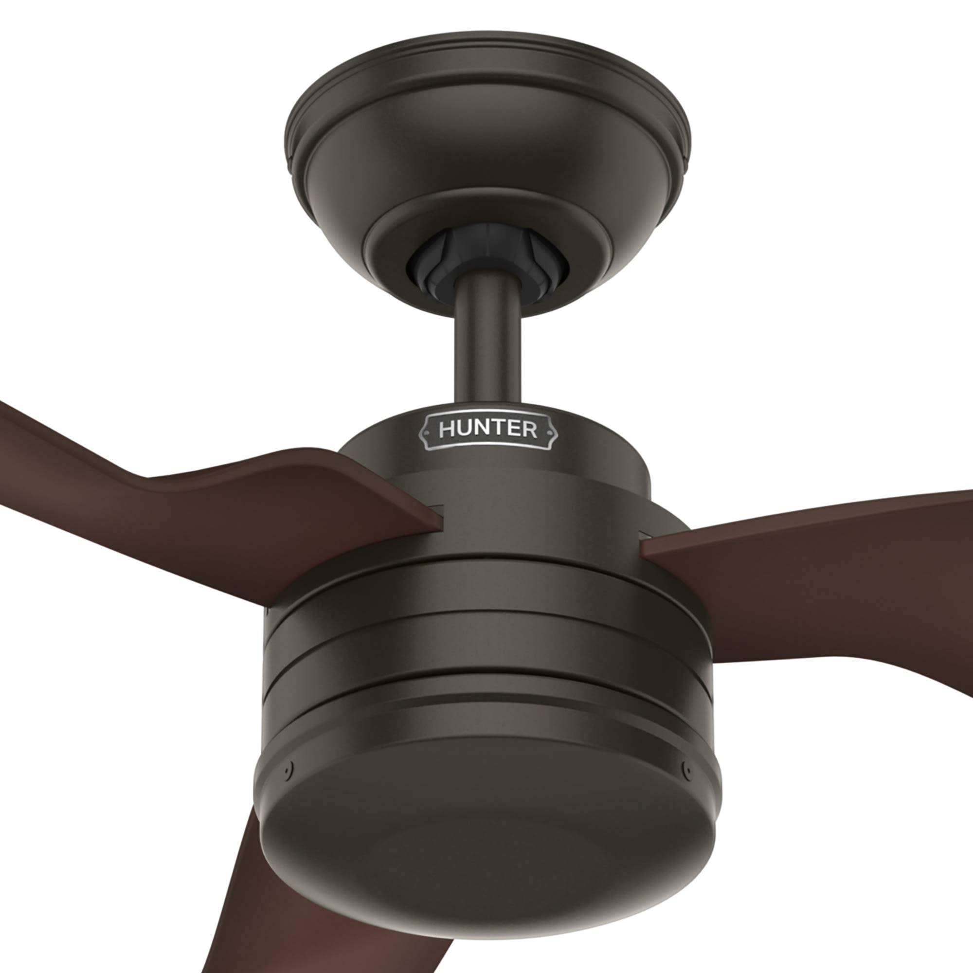 Hunter Fan Cabo Frio 52 inch New Bronze with Coffee Beech Blades Outdoor Ceiling Fan
