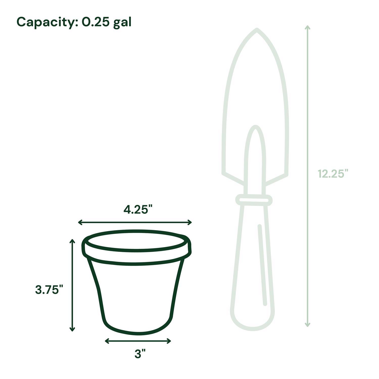 Bloem Terra 3.75 in. H X 4.25 in. W Resin Traditional Planter Terracotta Clay