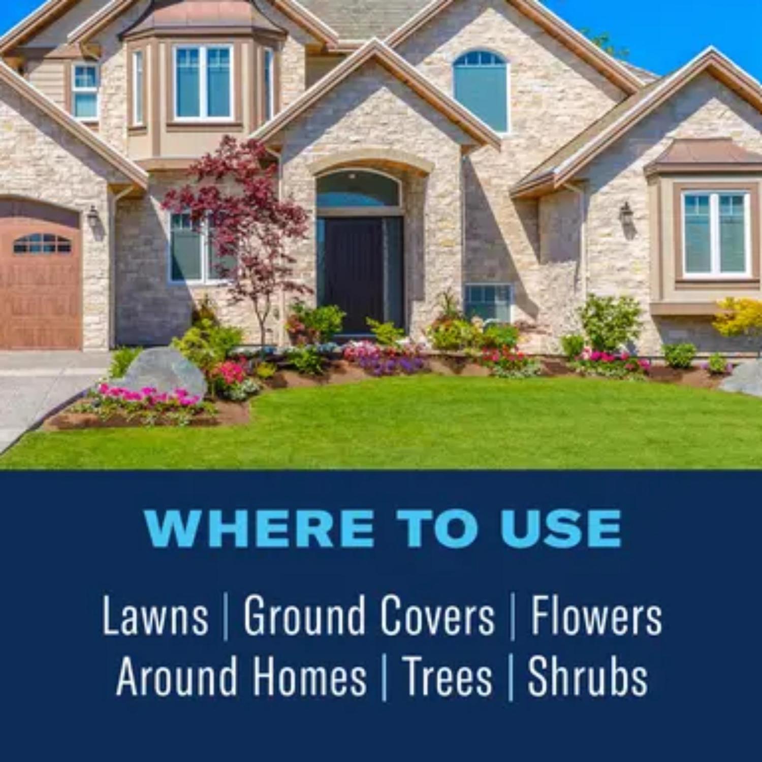 BioAdvanced Complete, Ready-to-Spray Insect Killer for Soil & Turf Liquid 32 oz