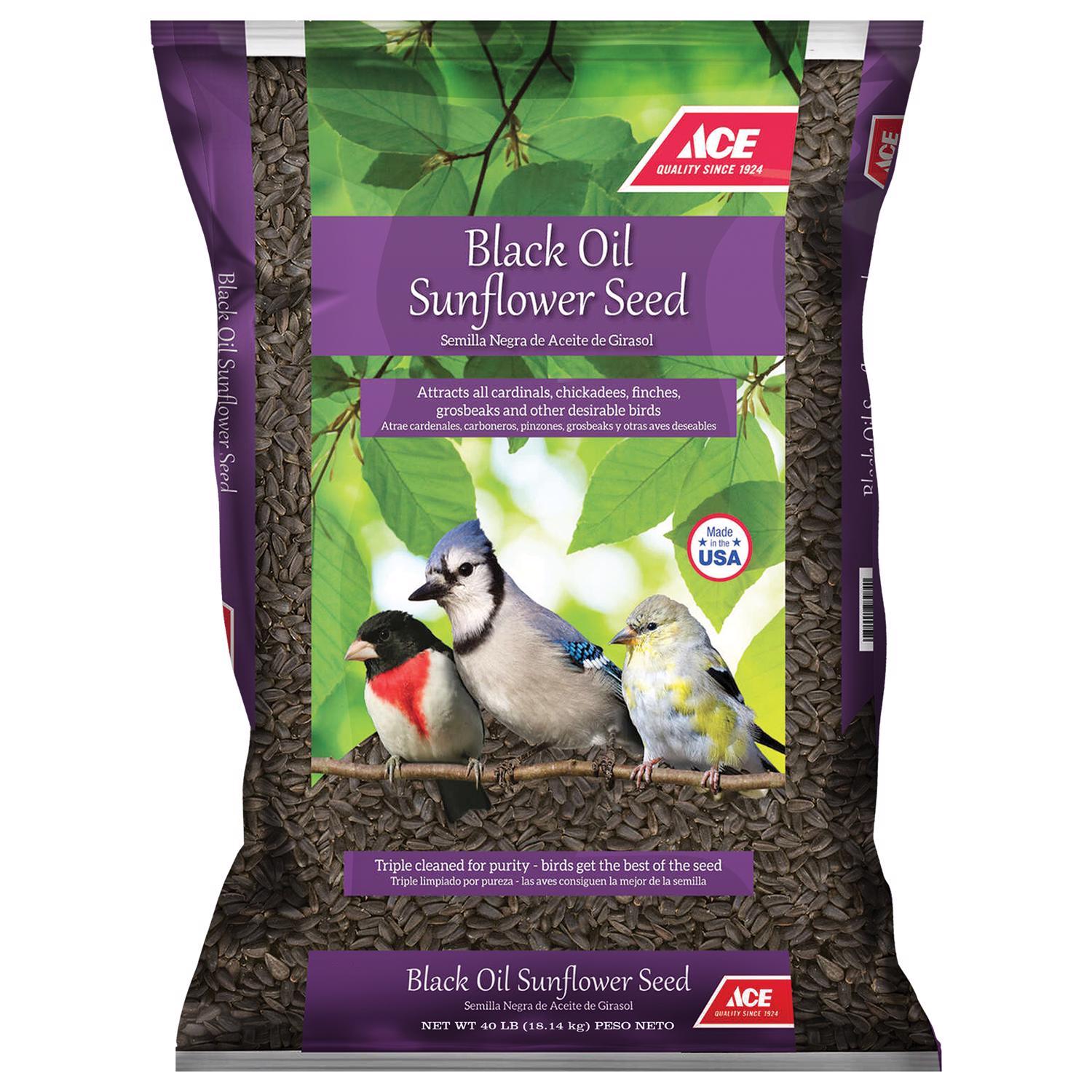 Ace Black Oil Sunflower Seed Wild Bird Food 40 lb