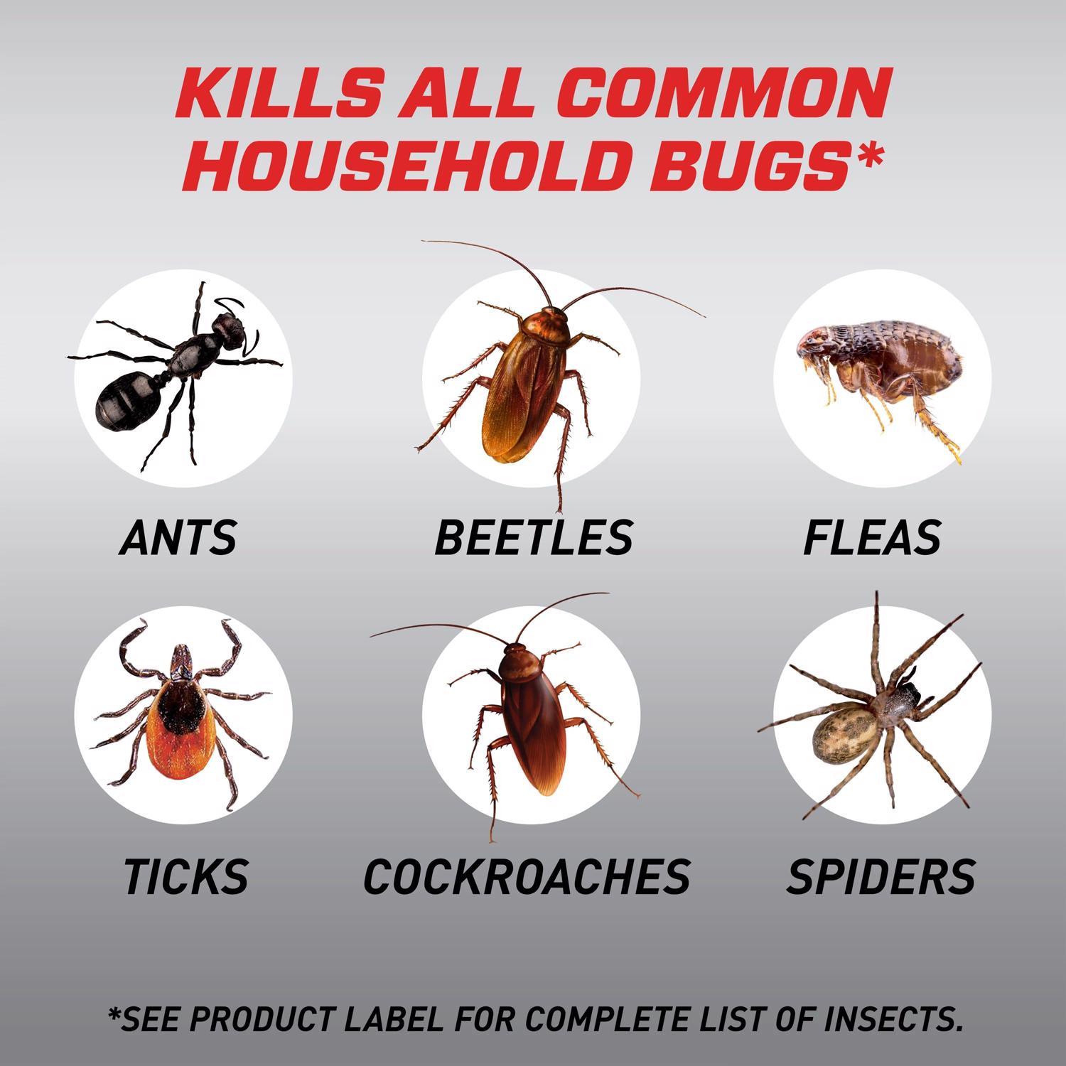 Ortho Home Defense Insect Killer Spray 50 oz