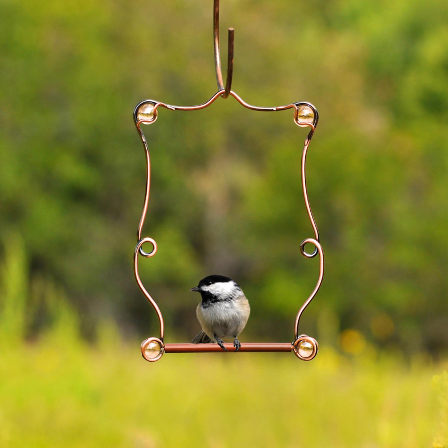 Perky-Pet 7.25 in. H X 5 in. W Hummingbird Swing
