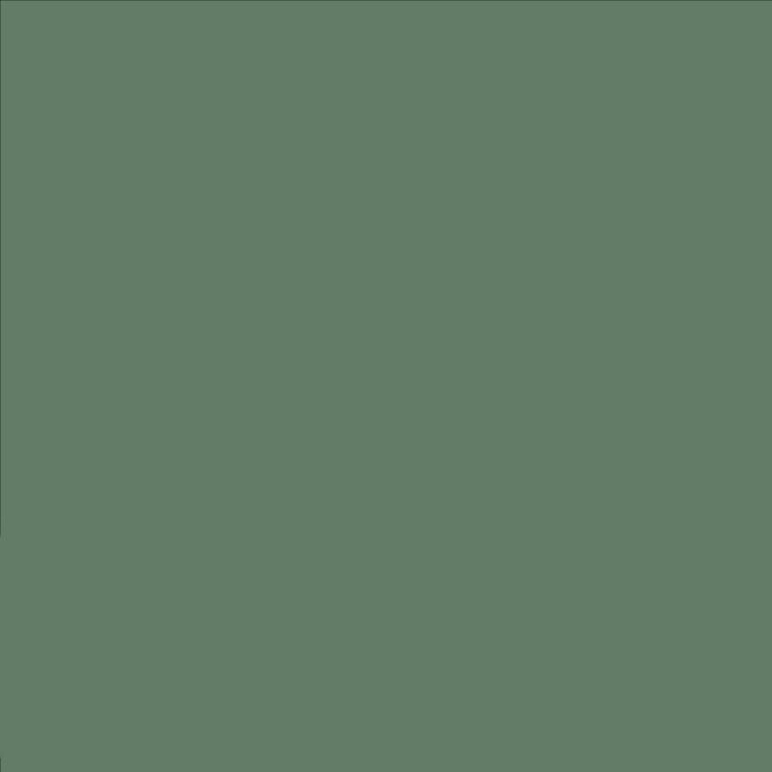 Rust-Oleum Painter's Touch 2X Ultra Cover Satin Moss Green Paint+Primer Spray Paint 12 oz