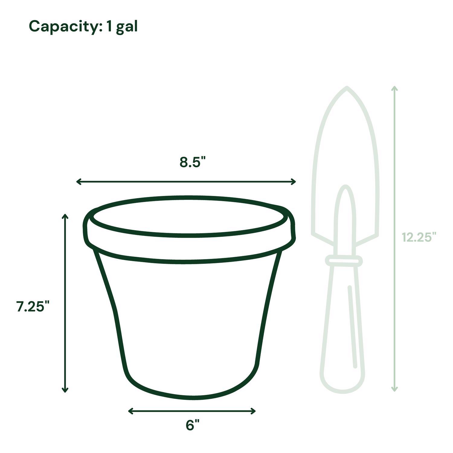 Bloem Terra 7.25 in. H X 8.75 in. W Resin Traditional Planter Terracotta Clay