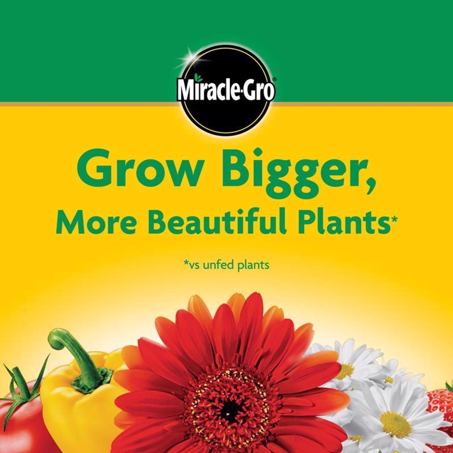 Miracle-Gro Granules Plant Food 10 lb