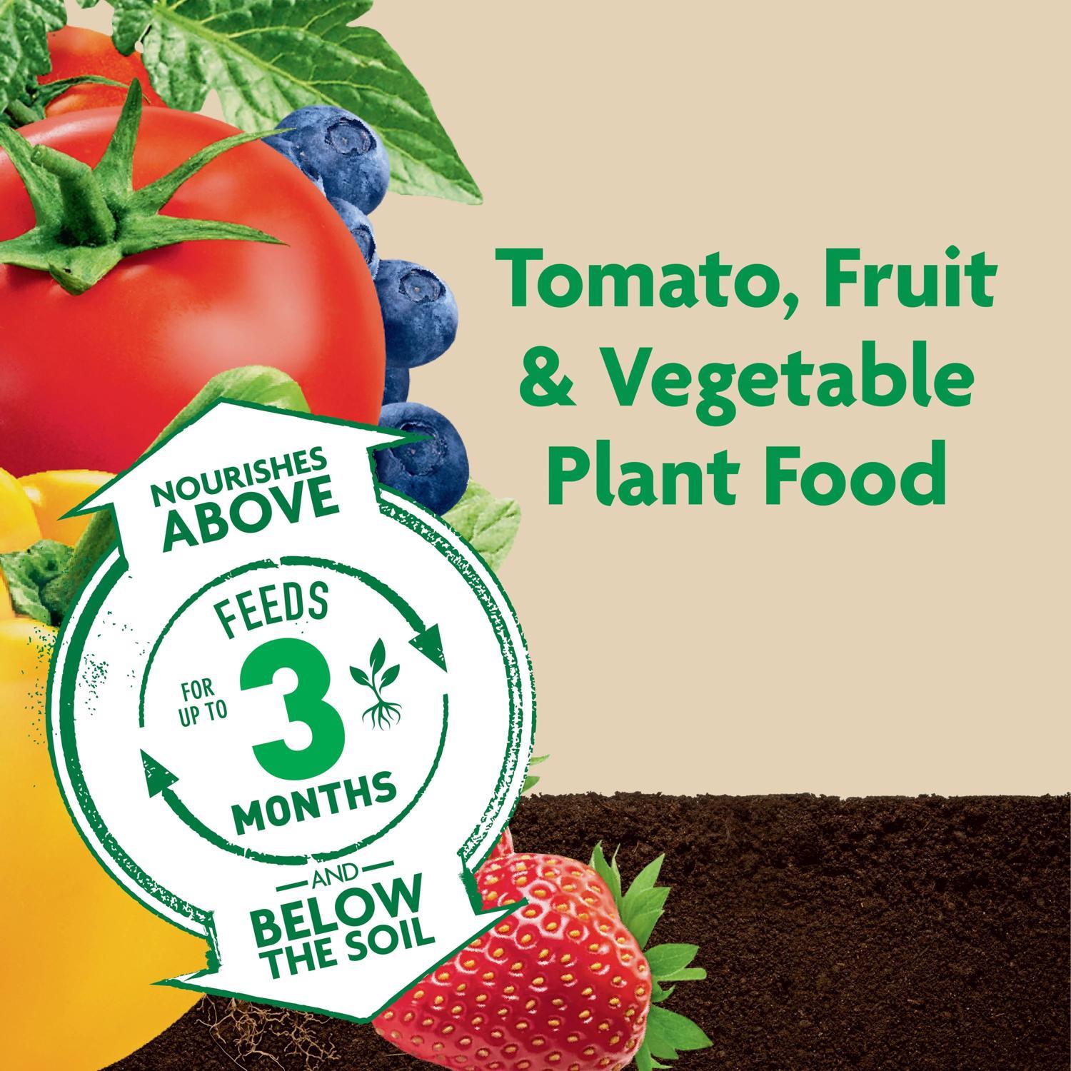 Miracle-Gro Shake 'n Feed Granules Plant Food 4.5 lb