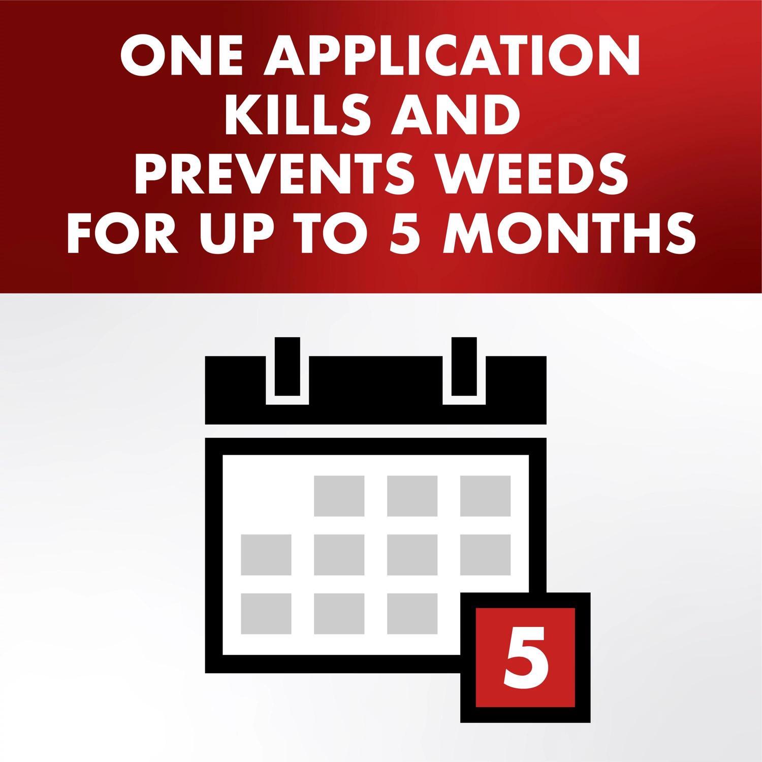 Spectracide One Shot Lawn and Weed Weed and Vegetation Killers Concentrate 32 oz.