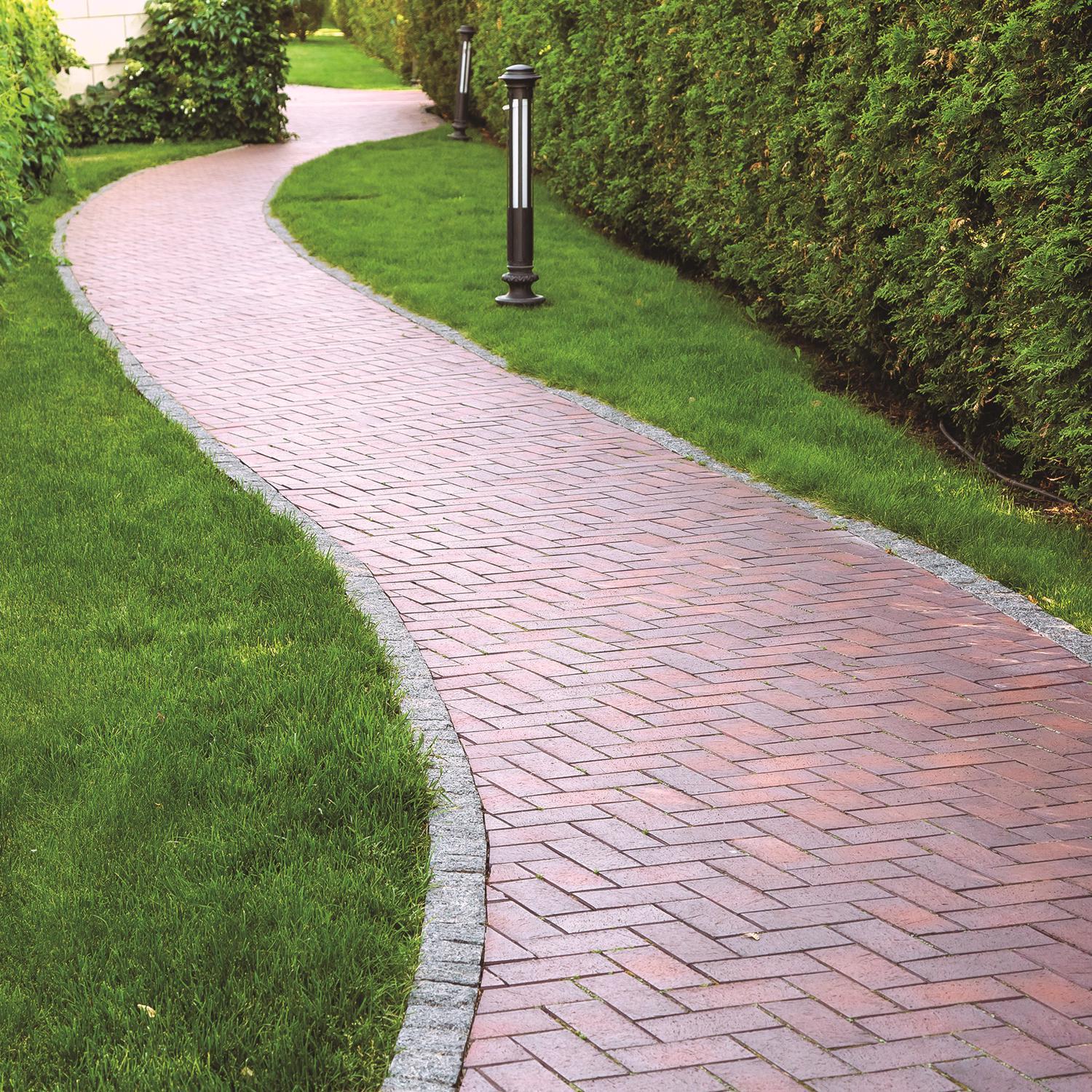 Drylok Clear Latex Concrete Protector 1 gal